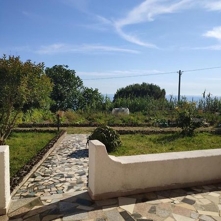 Casa De Somma Apartment Forio di Ischia Exterior foto